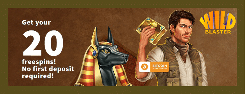 wild blaster casino no deposit bonus